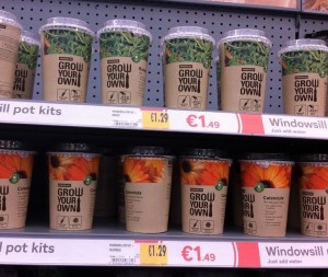 Grow your own kits from Homebase