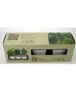 Homebase herb growing kit