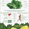 kale-facts