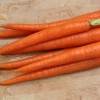 CarrotRoots