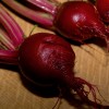 Beetroot, Carrot, Apple and Ginger Juice Harvesting beetroot by amortize on Flickr (http://www.flickr.com/photos/99317668@N00/2647422770)