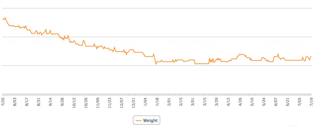 weight loss over one year