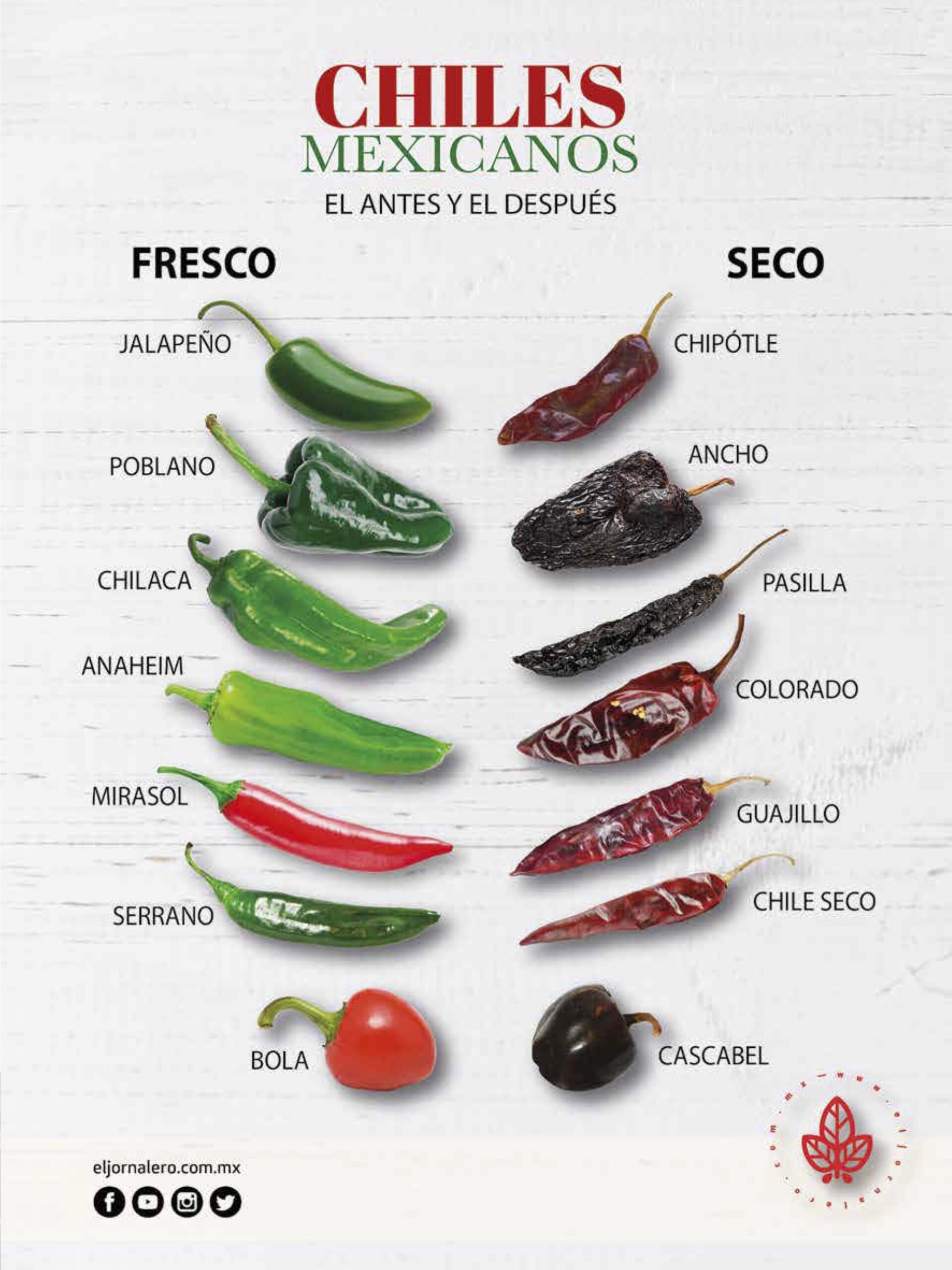 https://www.fat.ie/wp-content/uploads/2020/08/mexican-chiles-dried-fresh-in-spanish-scaled.jpg